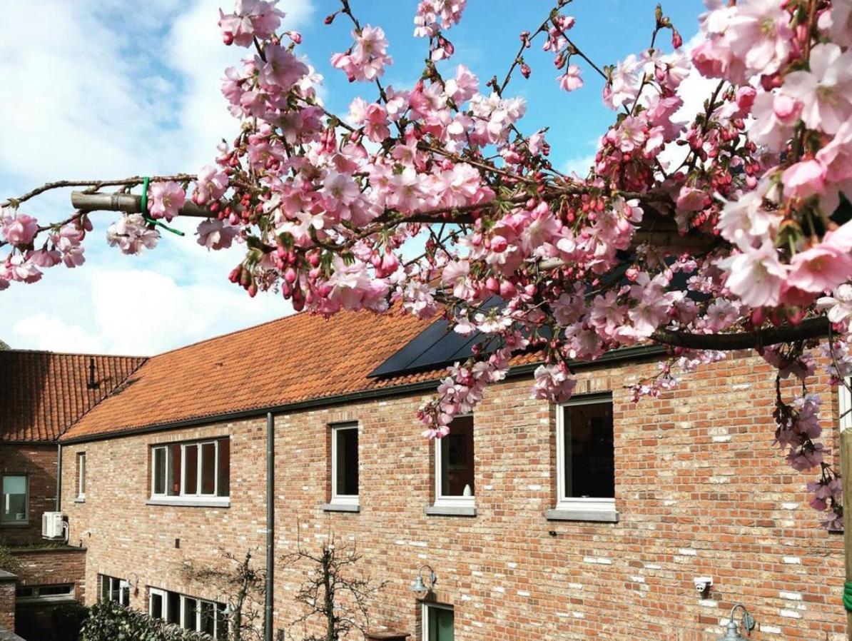 Bed and Breakfast Kirisavan Bed&Breakfast Borgloon Exterior foto